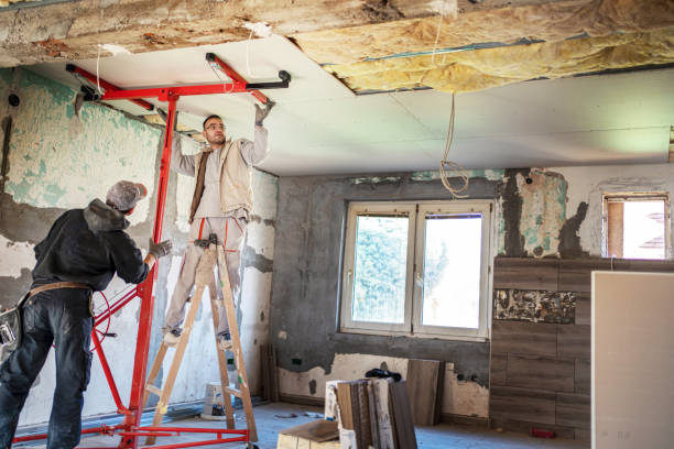 Best Geographic-Specific Insulation Services in Brandywine, MD