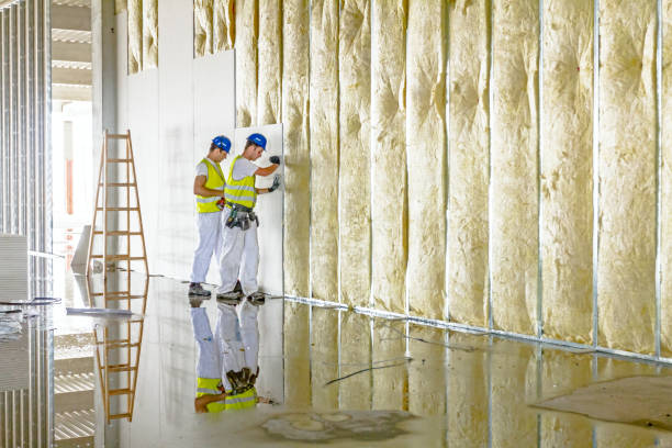Best DIY Insulation Kits and Guidance in Brandywine, MD